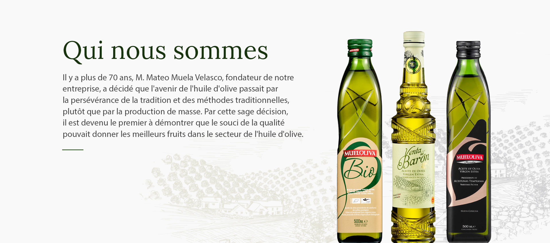 10-QUIENES-SOMOS